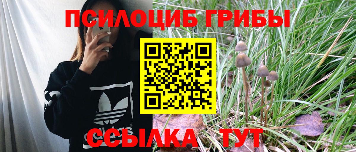 Псилоцибиновые грибы Psilocybe  Галлюциногенные грибы MAGIC MUSHROOMS  Шатура  Вход с VPN 